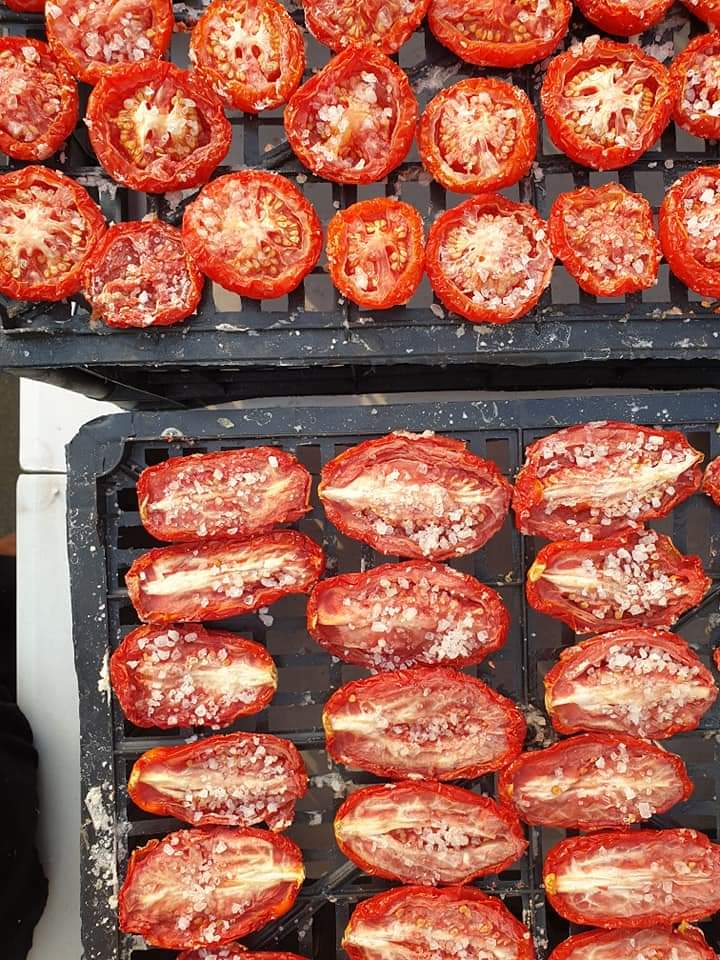 Tomaten3