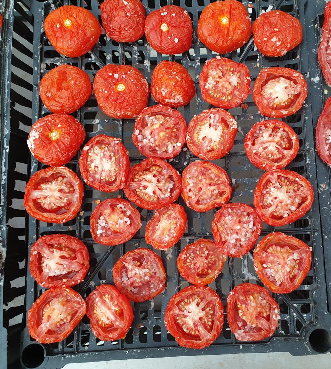 Tomate2