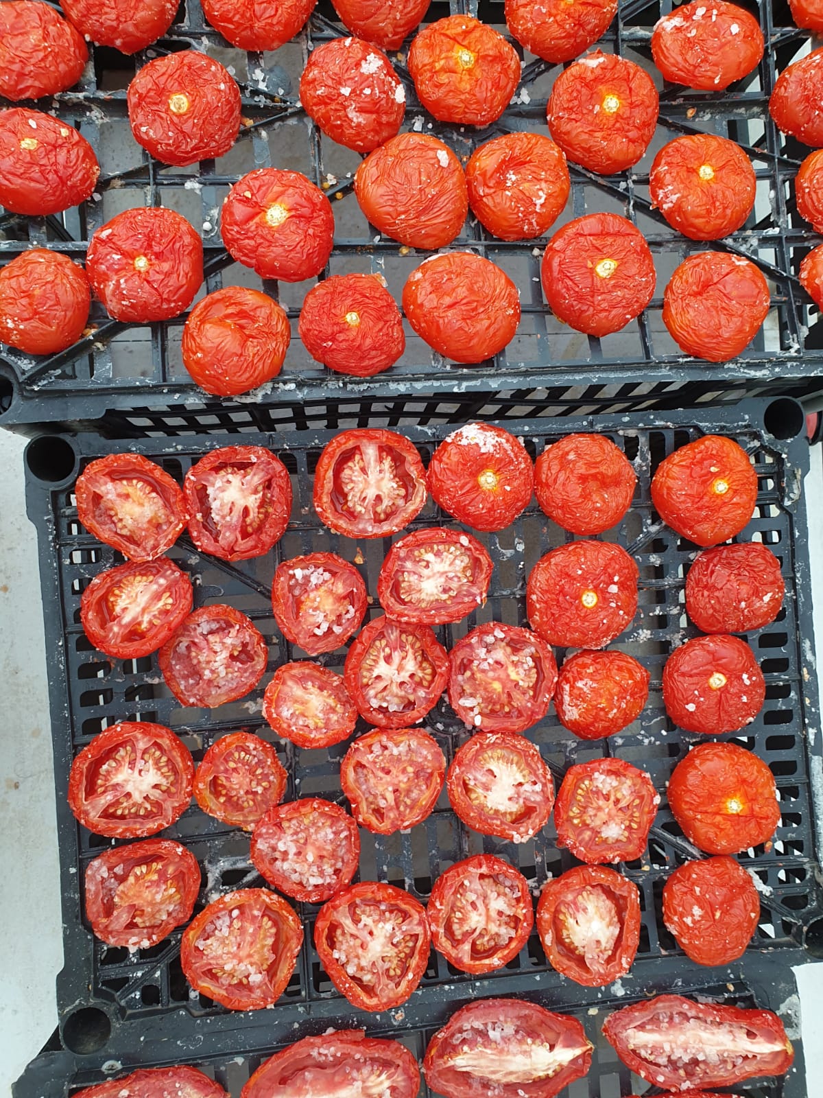 Tomaten3
